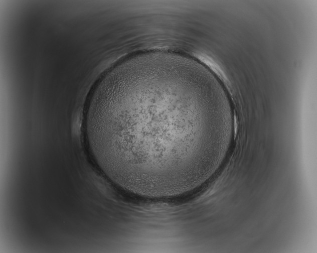 X0000090600483200707171335