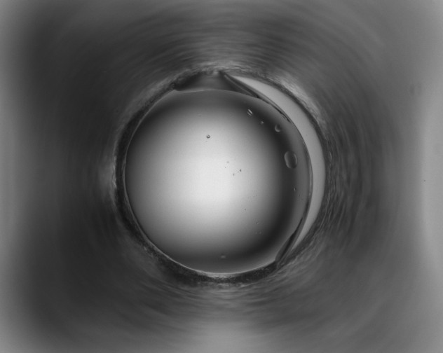 X0000090600486200707171335