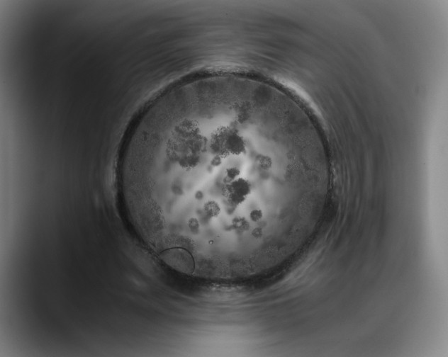 X0000090600487200707171335