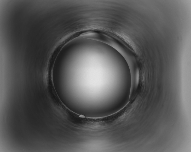 X0000090600488200707171335