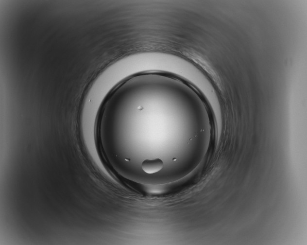 X0000090600489200707171335