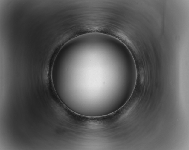 X0000090600490200707171335