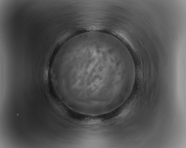X0000090600491200707171335