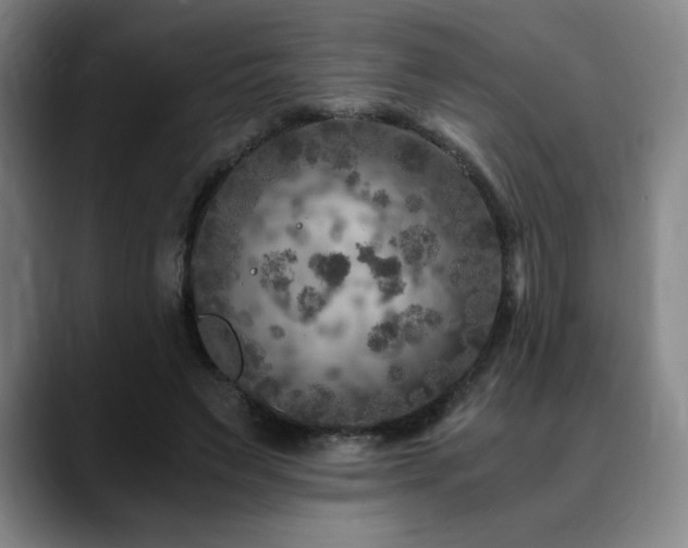 X0000090600495200707171335
