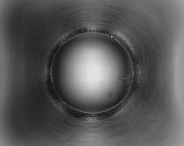 X0000090600496200707171335