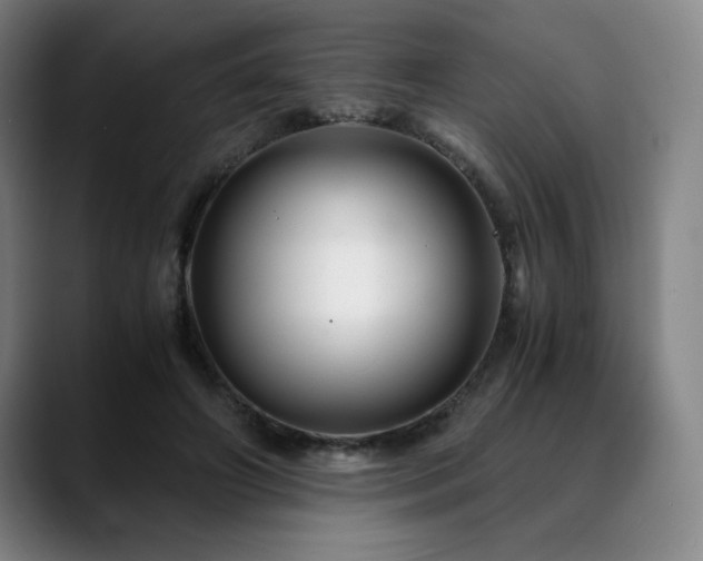 X0000090600498200707171335