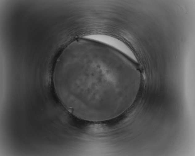 X0000090600499200707171335
