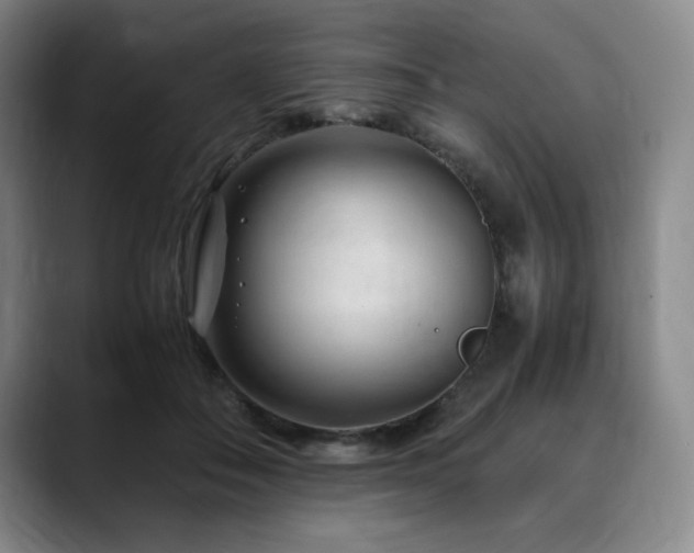 X0000090600506200707171335