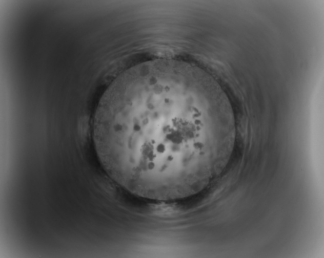 X0000090600511200707171335
