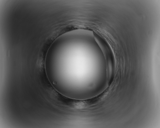 X0000090600513200707171335