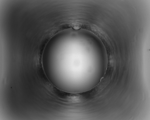 X0000090600514200707171335
