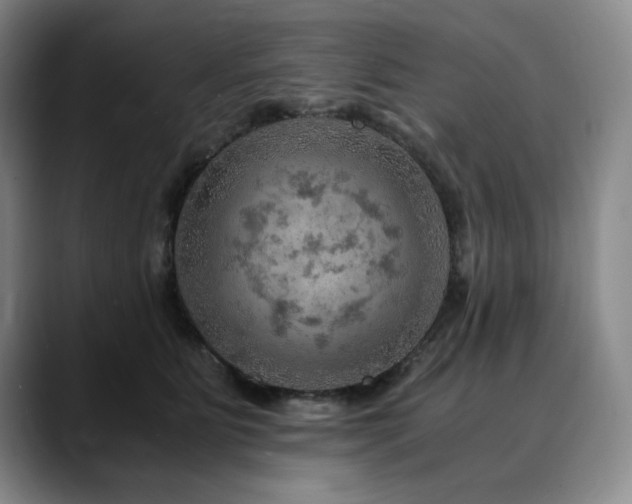 X0000090600515200707171335