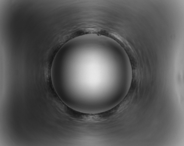 X0000090600517200707171335