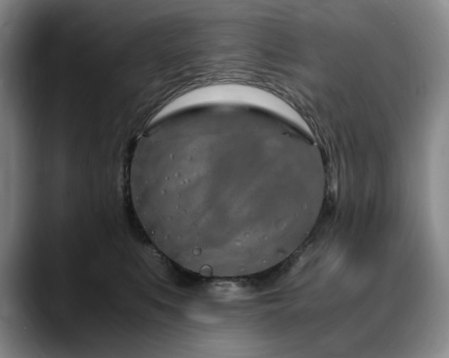 X0000090600519200707171335