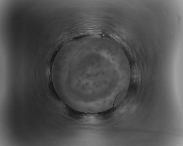 X0000090600523200707171335