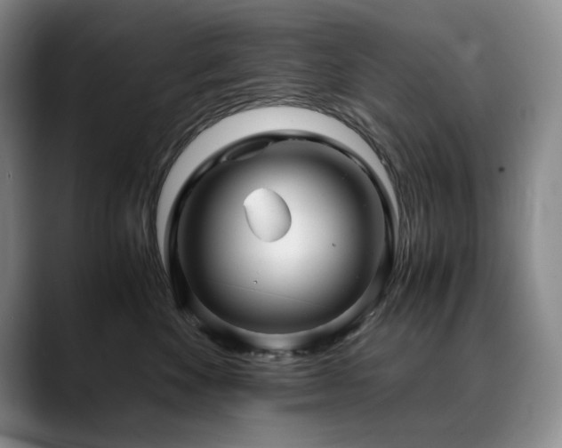 X0000090600524200707171335