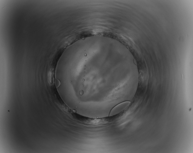 X0000090600527200707171335