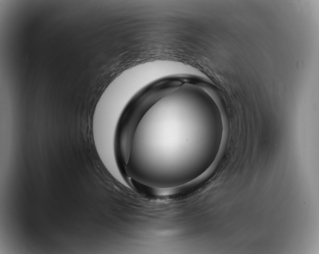 X0000090600528200707171335