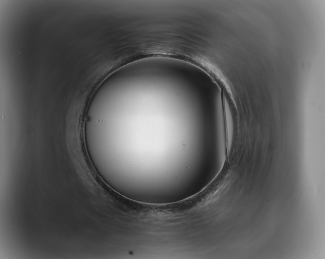X0000090600529200707171334