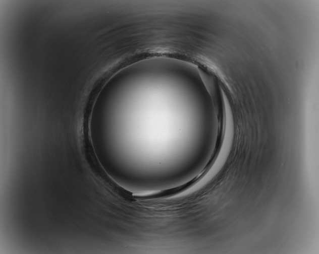 X0000090600535200707171334