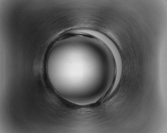 X0000090600536200707171334