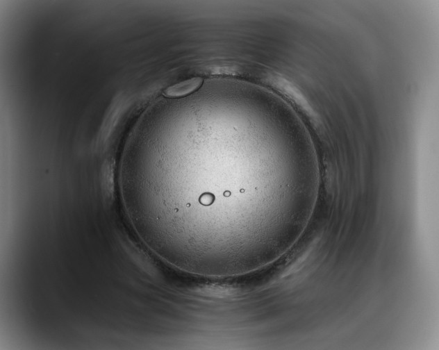 X0000090600537200707171334