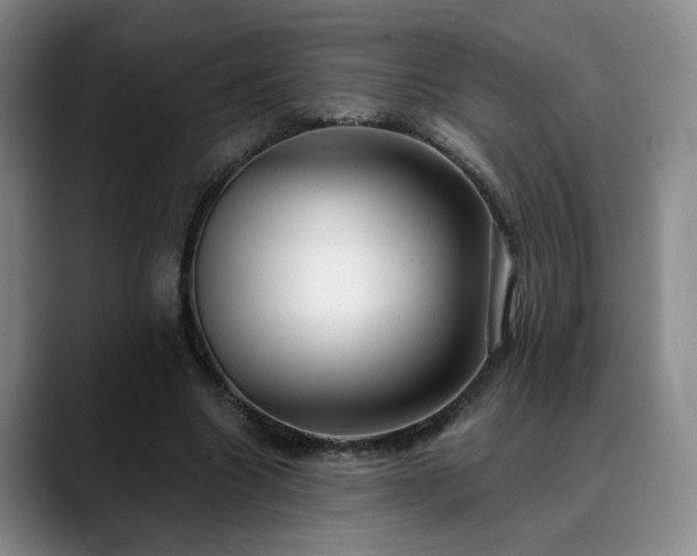 X0000090600538200707171334