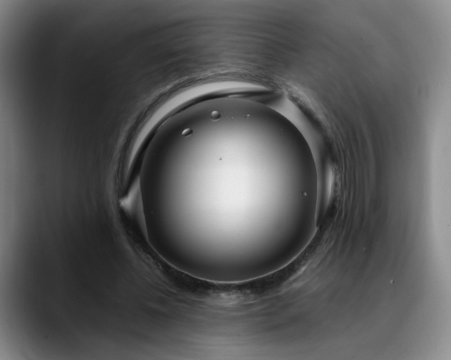 X0000090600540200707171334