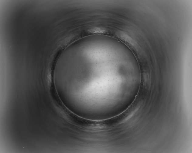 X0000090600541200707171334