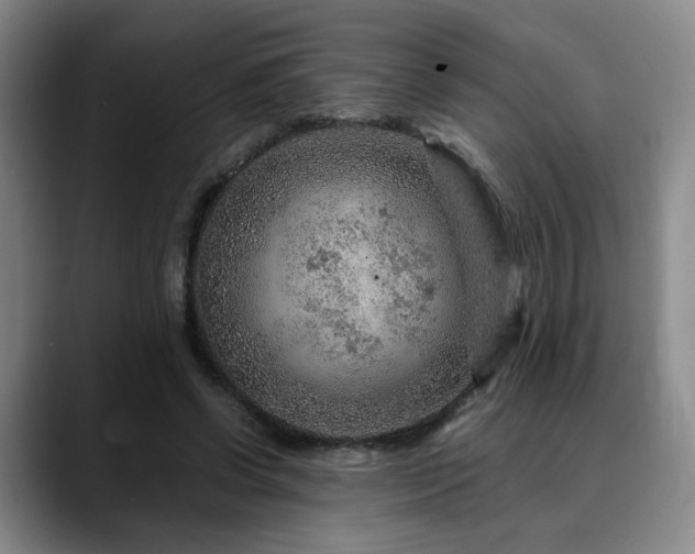 X0000090600542200707171334