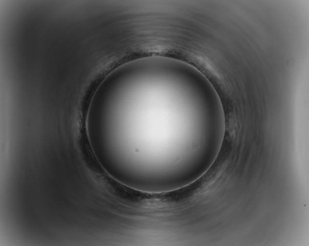 X0000090600544200707171334
