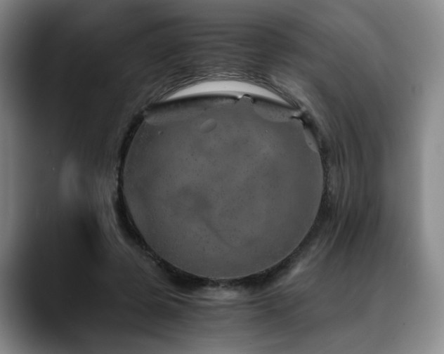 X0000090600545200707171334