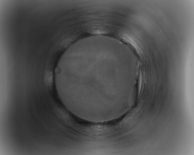 X0000090600549200707171334