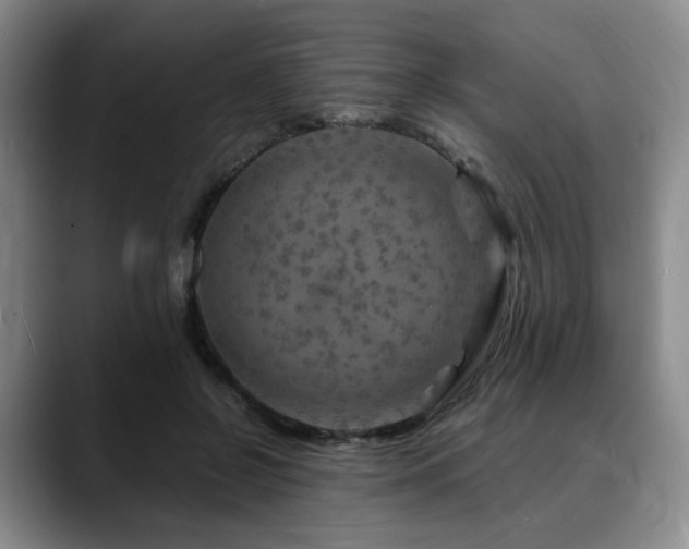 X0000090600550200707171334