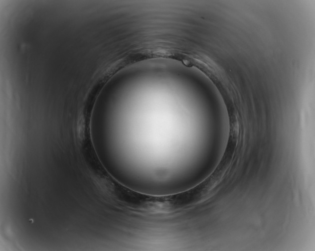 X0000090600552200707171334
