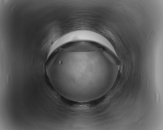 X0000090600553200707171334