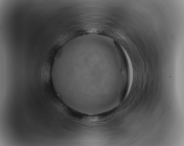 X0000090600554200707171335