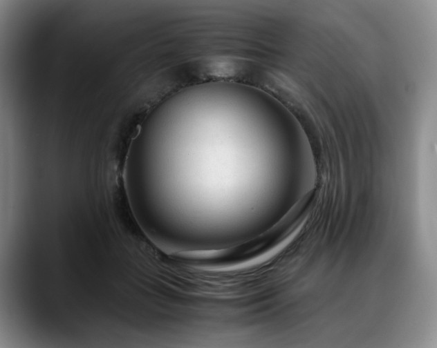 X0000090600555200707171335