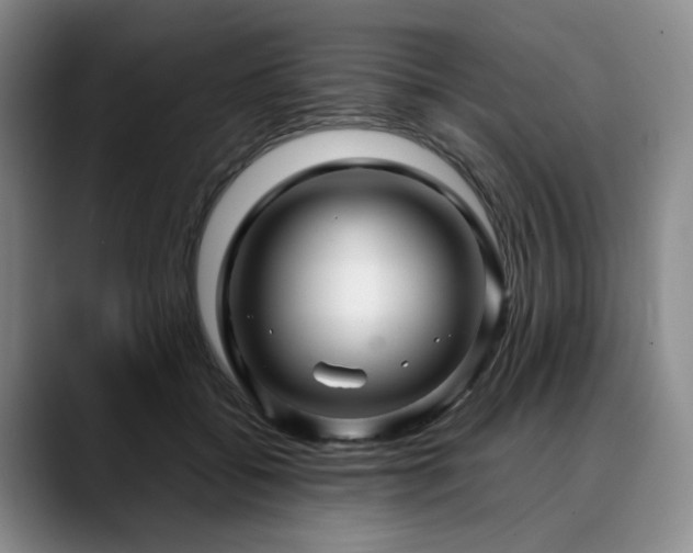 X0000090600556200707171335