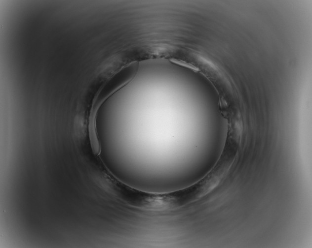 X0000090600558200707171335