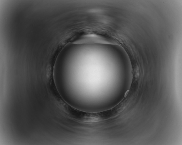 X0000090600559200707171335