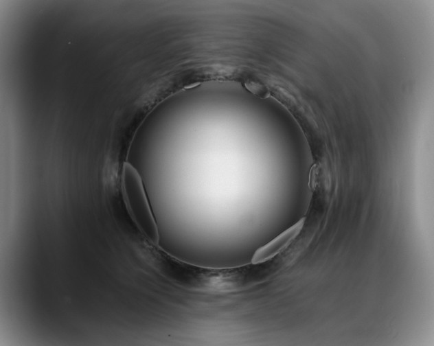 X0000090600564200707171335