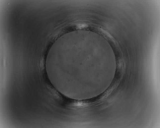 X0000090600565200707171335