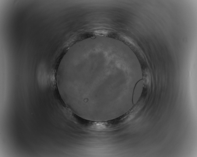 X0000090600573200707171335