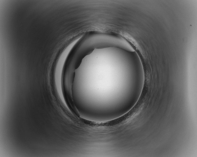 X0000090600581200707171334