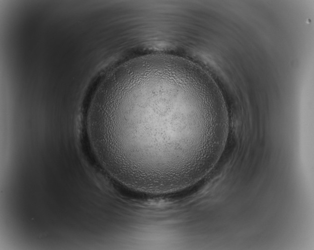 X0000090600591200707171334