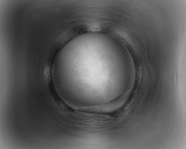 X0000090600598200707171334