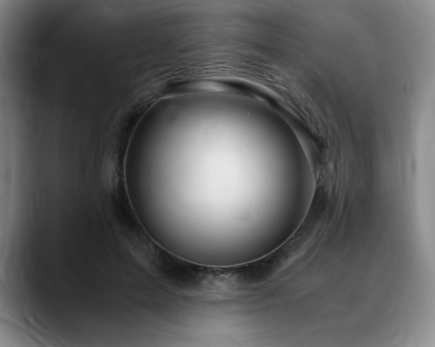 X0000090600599200707171334
