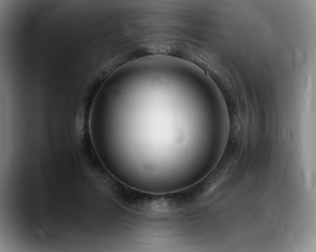 X0000090600600200707171334