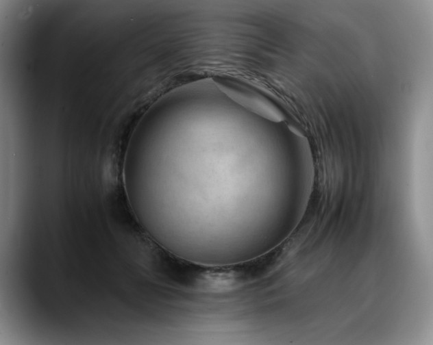 X0000090600606200707171334